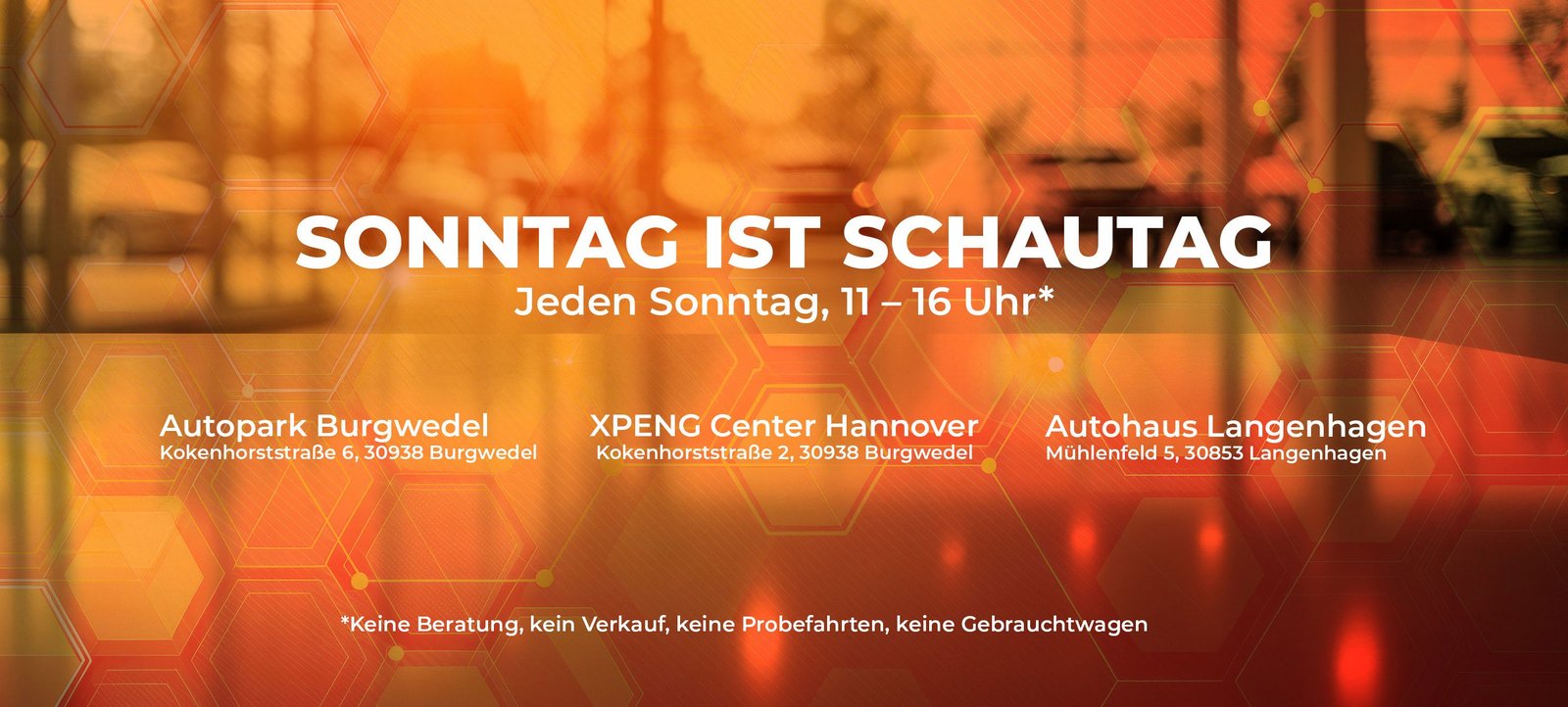 Sonntag ist Schautag