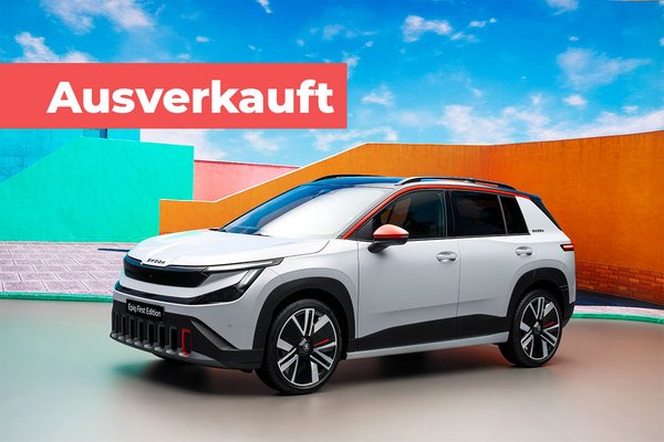 Skoda Epiq One