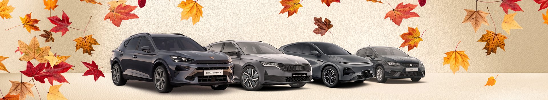 Herbst-Deal mit genau 0 Monaten Lieferzeit 