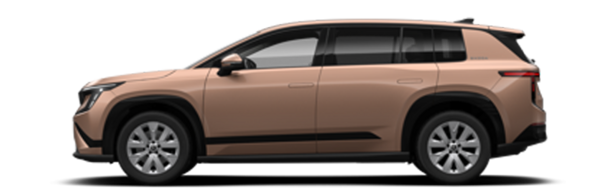 Skoda Peaq